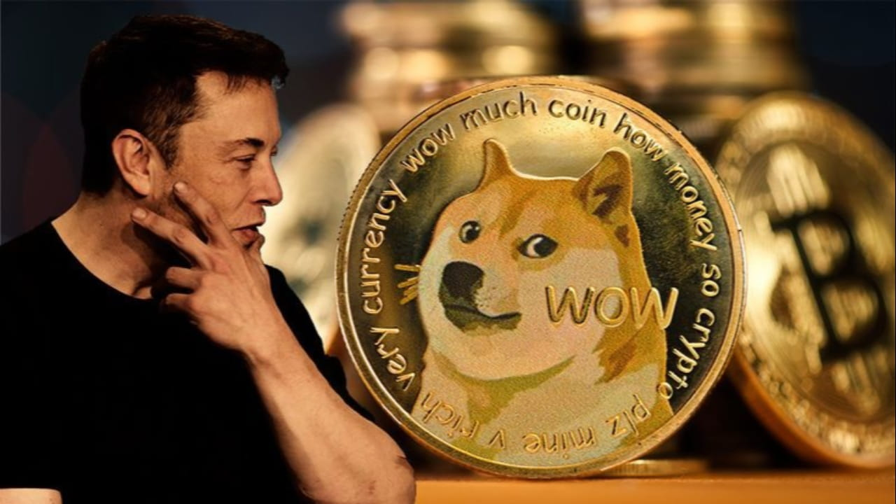 Dogecoin: История, особенности и роль в мире криптовалют